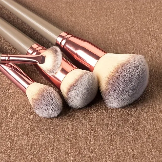 Professional set of make-up brushes in bag with 15 brushes