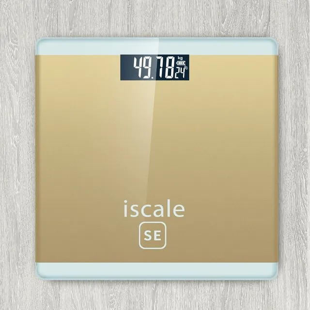 Digital scale with LCD display