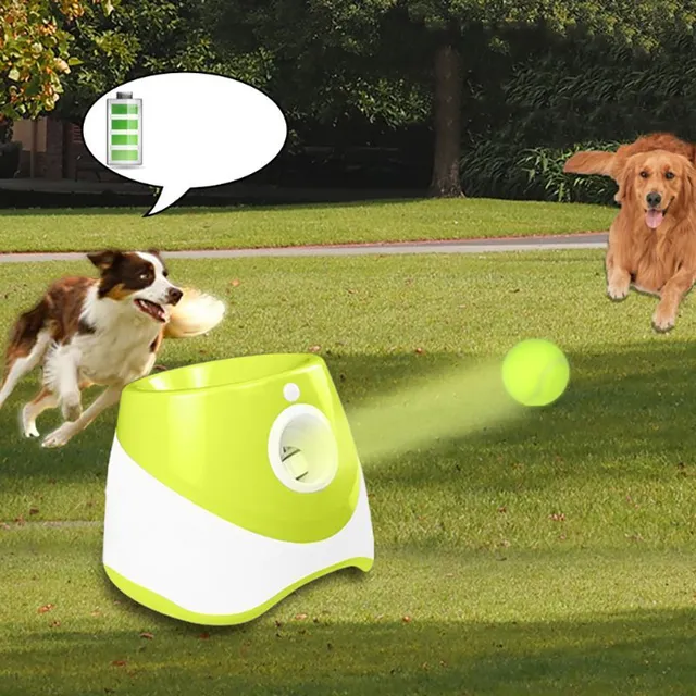 Automatic ball thrower for dogs - Interactive toy for fetching and exercising