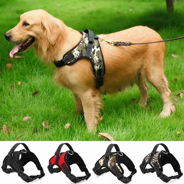 Comfortable strap for dogs - various colours