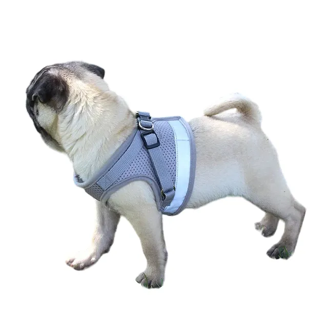 Reflective safety harness for dogs with leash Vesta for small dogs and puppies Chest breathing harness for dogs 3 - 4,5 kg