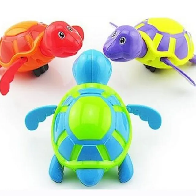 Broască țestoasă plutitoare colorată în apă