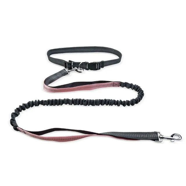 Reflective multifunctional running leash for dogs