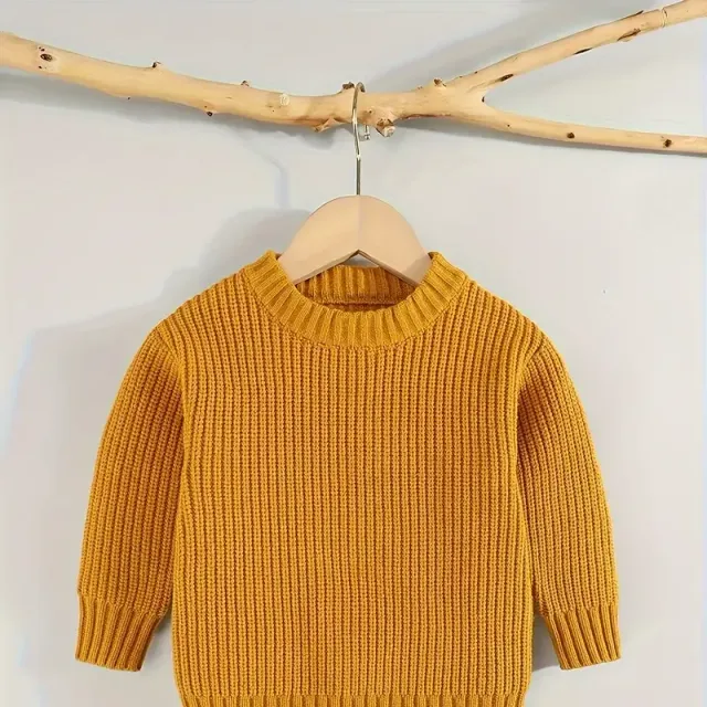 Warm and stylish knitted sweater for your bug - warms and delights in the winter months