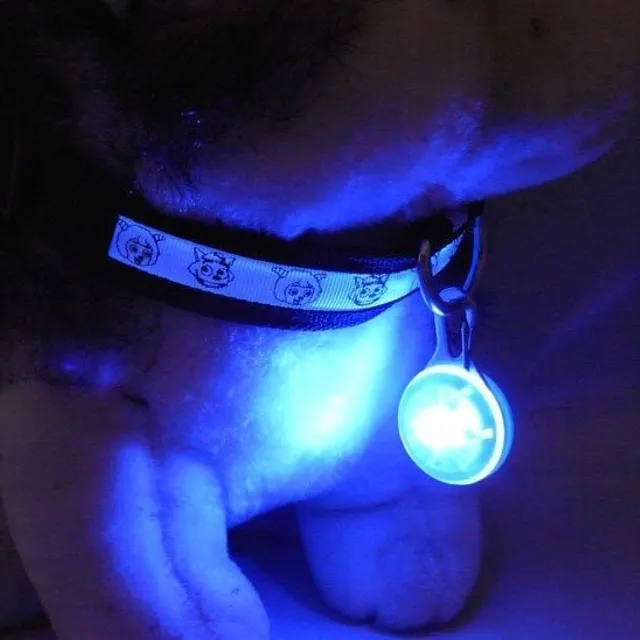 Illuminated round LED pendant for collar