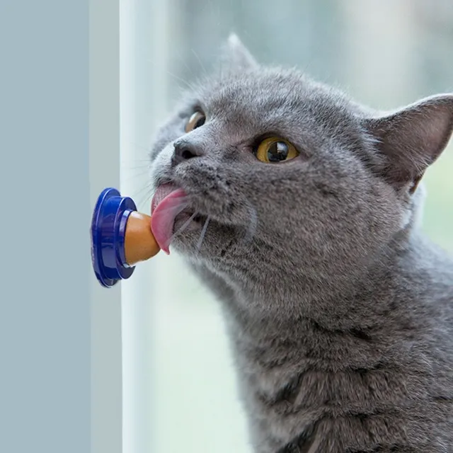 Nutriție pentru pisici sub formă de autocolant