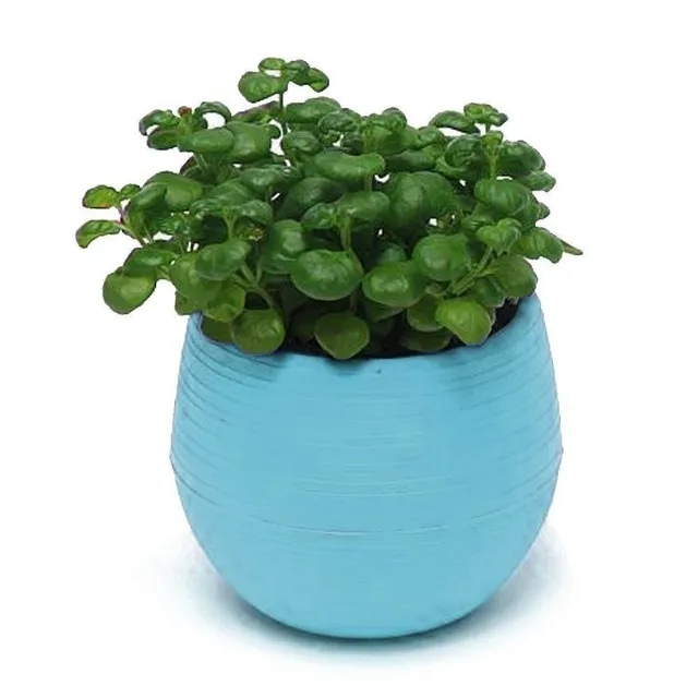 Mini pot de fleurs avec soucoupe C1168