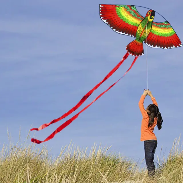 Flying parrot-shaped kite - 3 colours