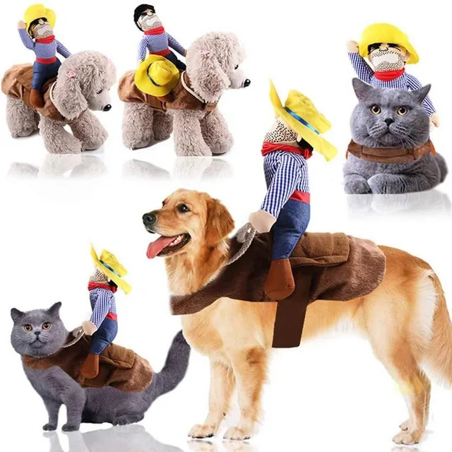 Halloween costume for dog and cat