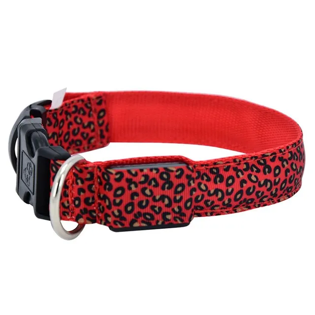 Adjustable nylon collar with LED lighting