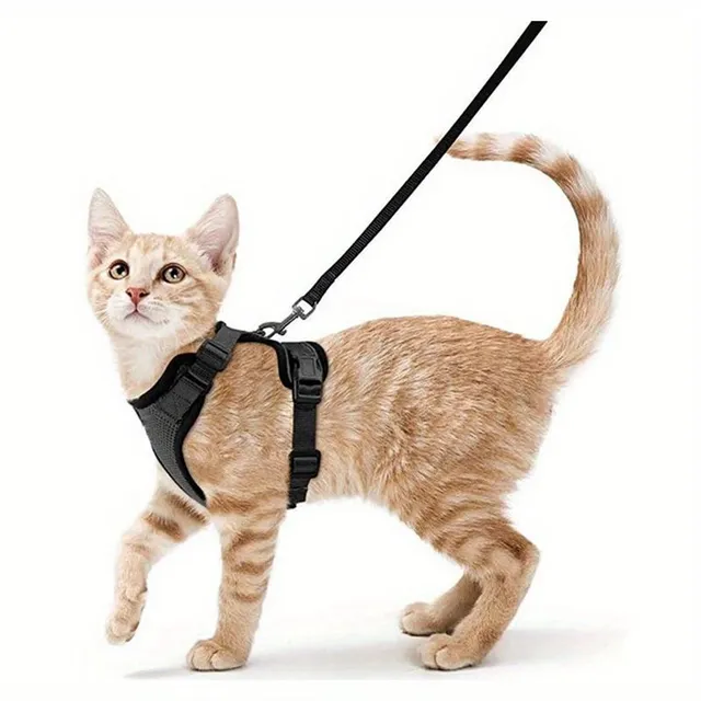 Safety harness and guide for cats - Soft and adjustable, Ideal for walking and exploring