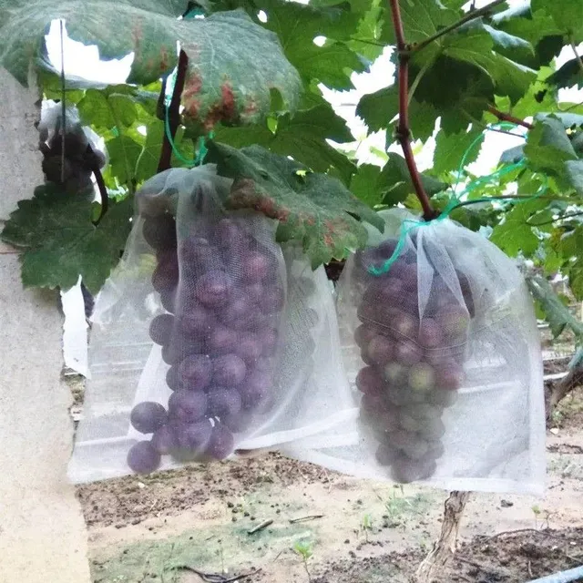 Protective net for grapes 50 pcs