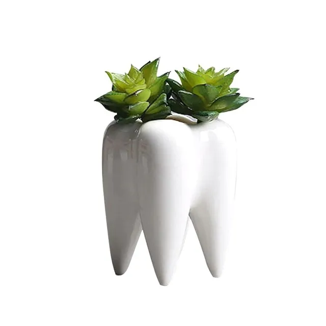 Decorative flower pot in the shape of a tooth