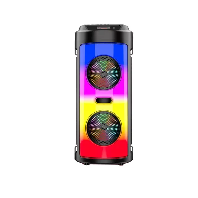 30W Wireless Bluetooth speaker with microphone for karaoke