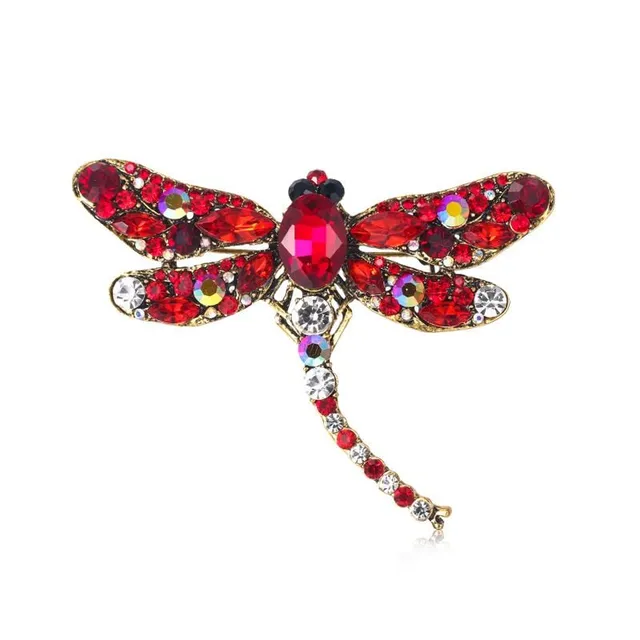 Beautiful ladies brooch decorated with dragonfly