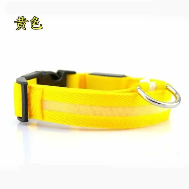 Luminous nylon collar for dogs