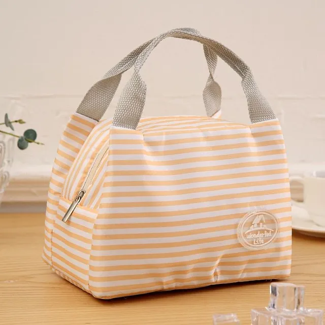 Unisex stylish modern trends original waterproof lunch bag with trendy design