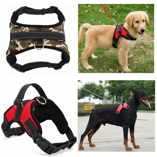 Nylon harness for dog