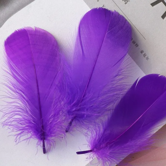 Natural coloured decorative feathers - 100 pcs