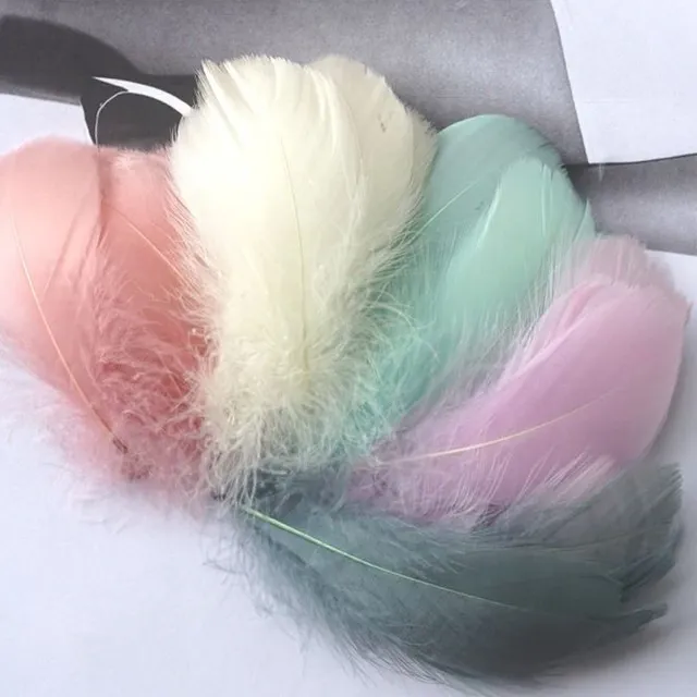 Natural coloured decorative feathers - 100 pcs