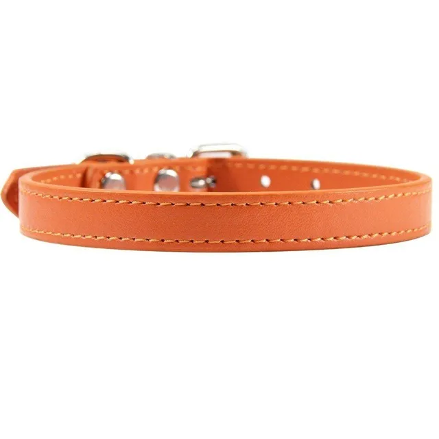 Modern trendy monocolor popular classic artificial leather collar - more colors