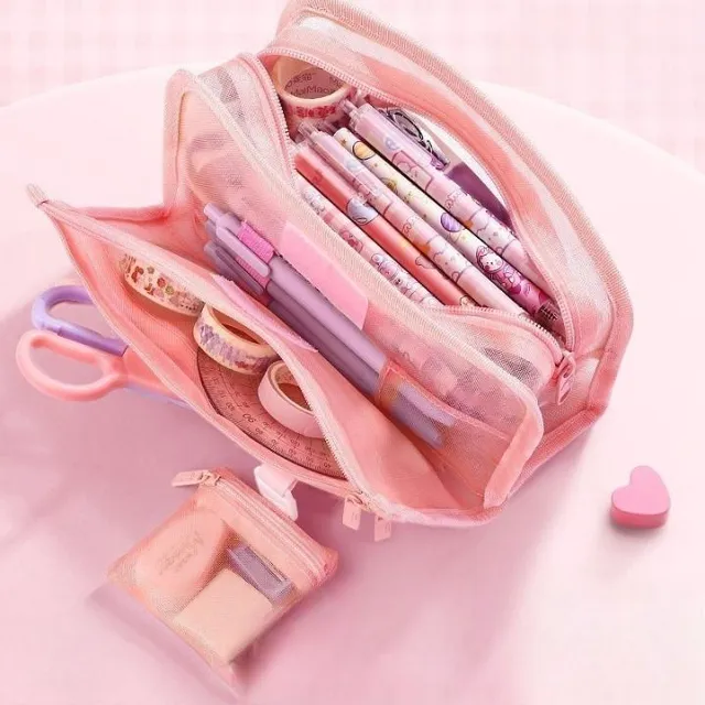Vulnerable modern stylish pencil for school with two dividing pockets - two colors