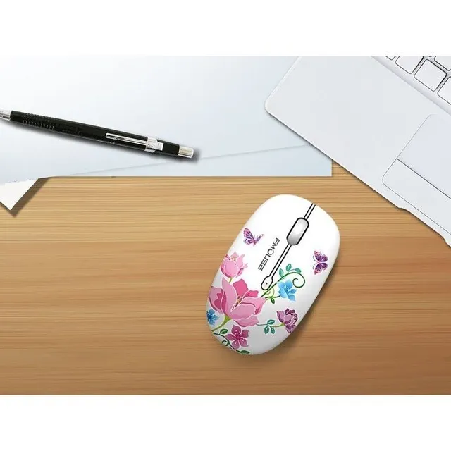 Wireless silent mouse