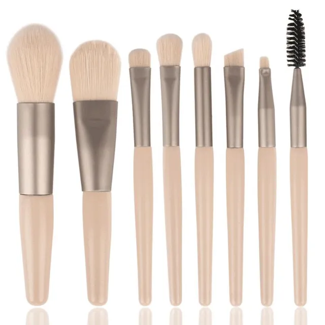 Set of professional cosmetic brushes in case