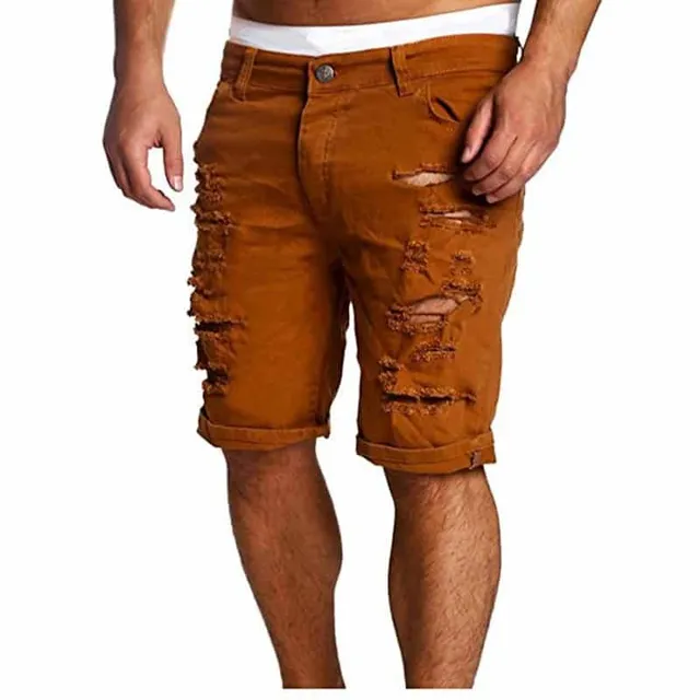 Men's Stylish Teared Shorts