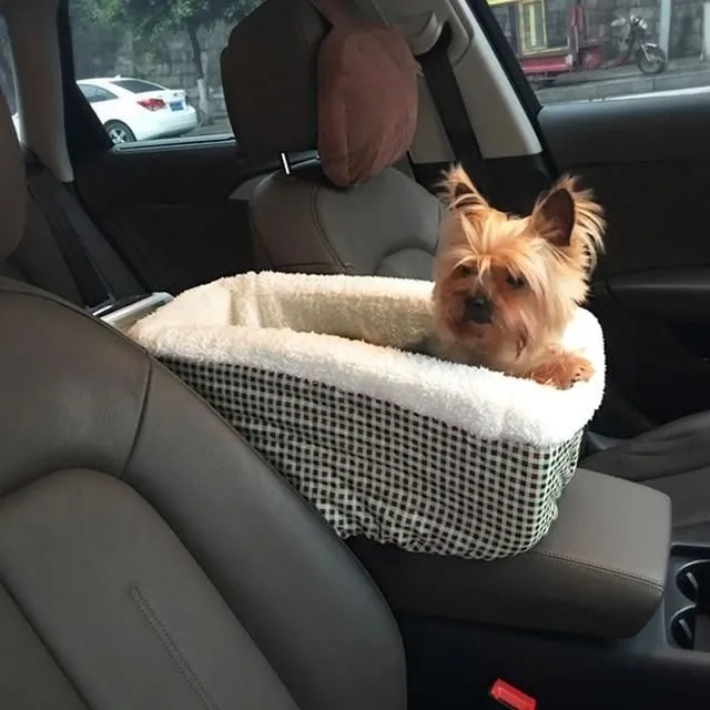 Fotelik samochodowy dla psów