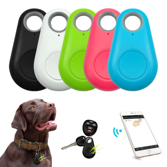 Mini GPS locator for animal, for keys, for purse