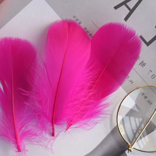 Natural coloured decorative feathers - 100 pcs