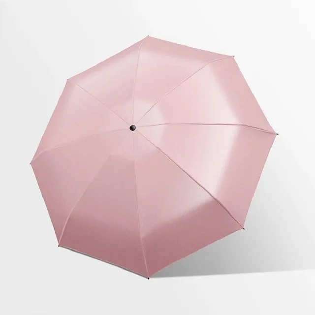 Deštník Briar