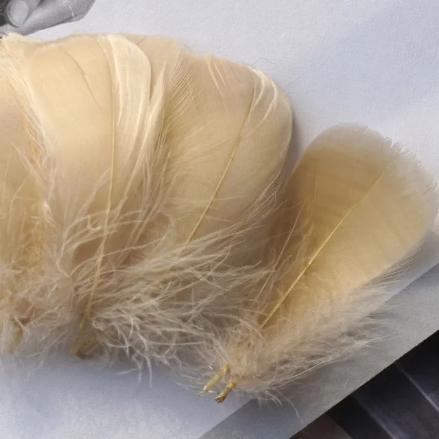 Natural coloured decorative feathers - 100 pcs