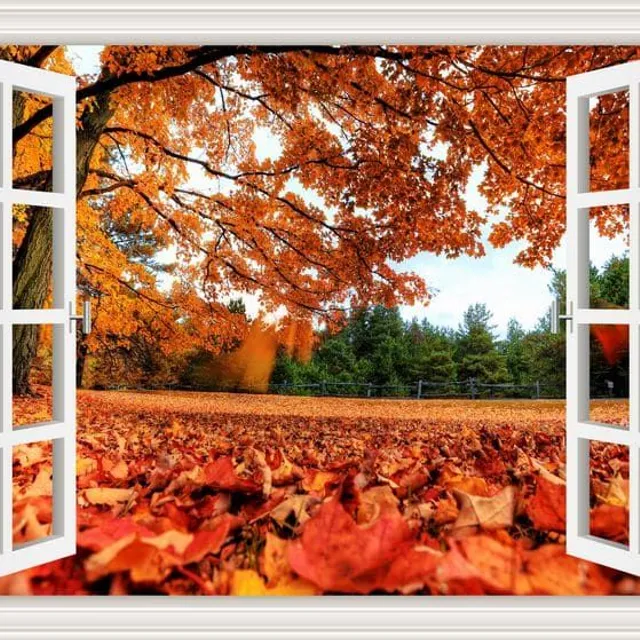 Wandkunst 3D Sticker | Fenster, Landschaft