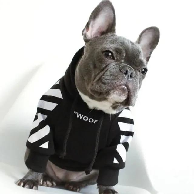 Sweatshirt for dogs with inscription