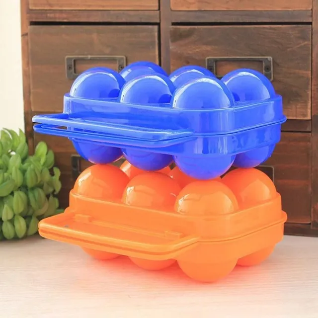 Plastic box for eggs