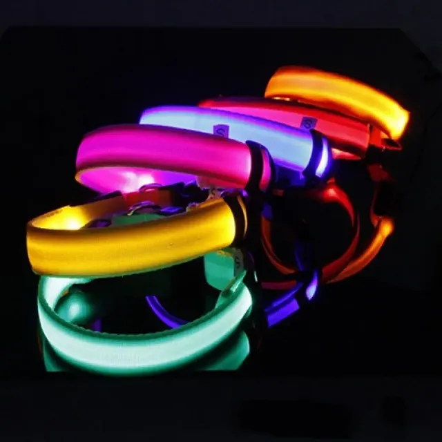 Lighting LED collar for small and medium dogs - for safe night walks