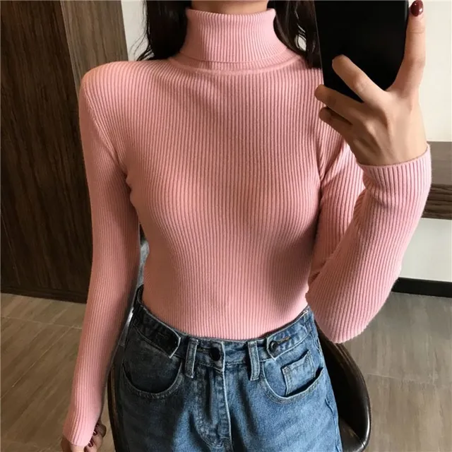 Women's autumn turtleneck