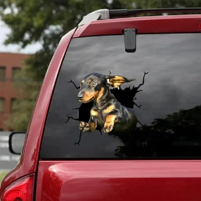 Autocolante 3D elegante pentru mașină cu motiv de câini