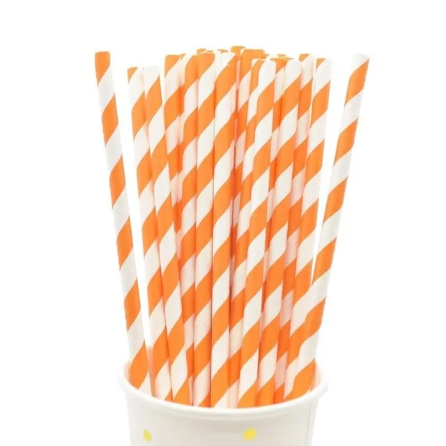 Paper straw 50 pcs N961