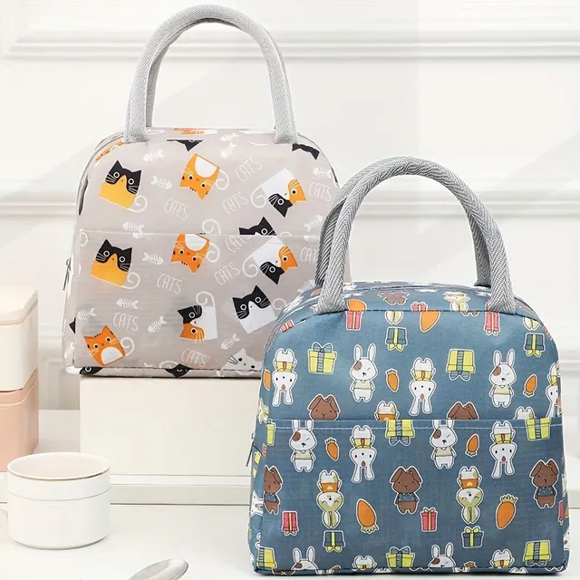 Light and portable lunch bag with zipper and cartoon motif