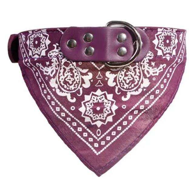 Stylish collar with scarf for dogs