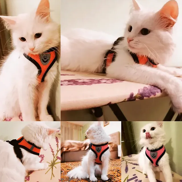 Adjustable harness for smaller dogs and cats