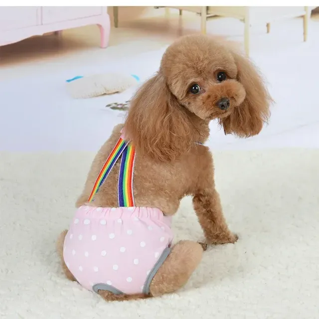 Cute diapers for pets, hygienic, breathable and colorful