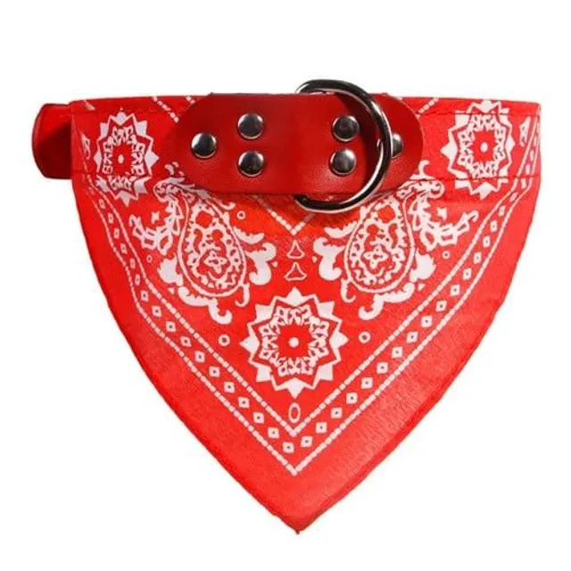 Stylish collar with scarf for dogs