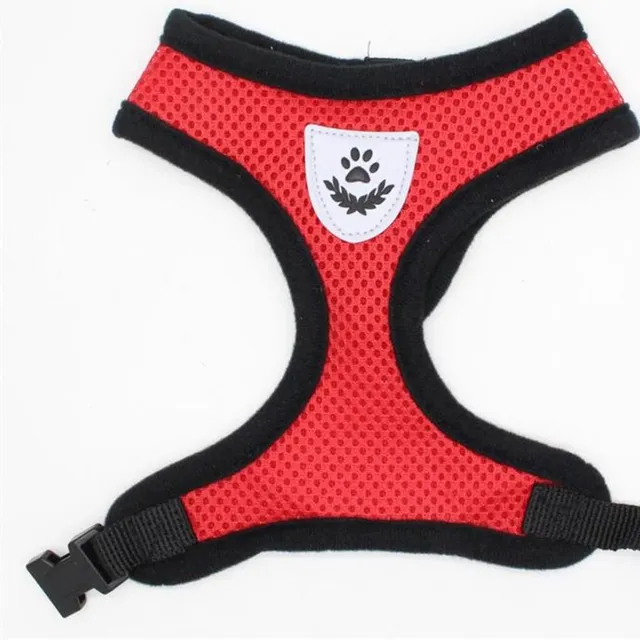 Cute breathable harness for dogs