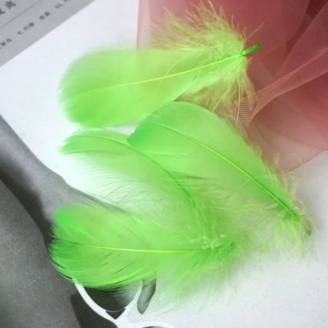 Natural coloured decorative feathers - 100 pcs