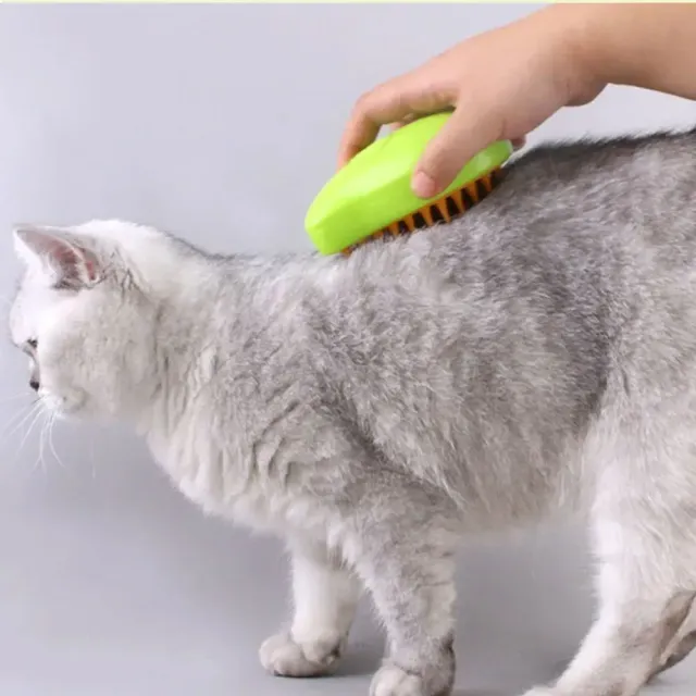 3v1 massage steam brush for cat and dog care with sputtering and combing function