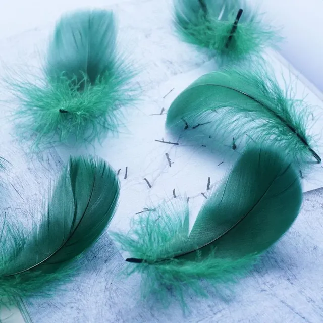 Natural coloured decorative feathers - 100 pcs